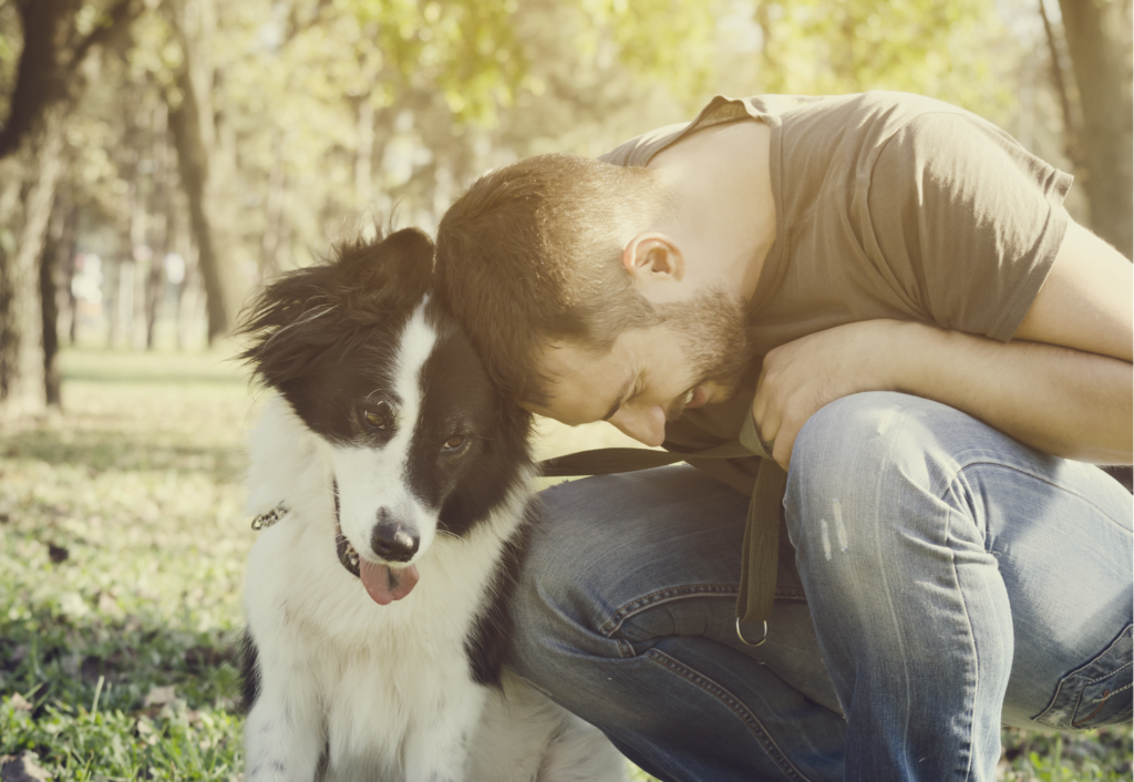 איך כלבים תורמים לאושר ולבריאות שלך? 