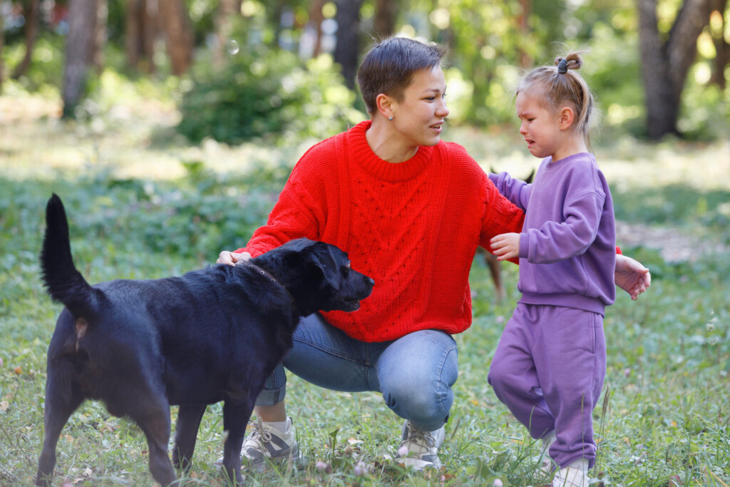 פוביה מכלבים – כך תתמודדו עם פחד מכלבים בקרב ילדים ומבוגרים